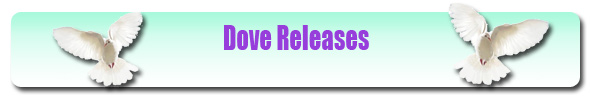 Dove Releases Saginaw